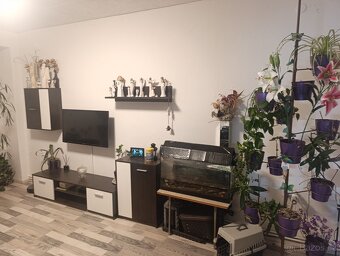 Pronájem bytu 3+1 Hradec Králové - 3