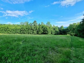 Pozemek Dolní Paseky Rožnov pod Radhoštěm 2926m2 - 3