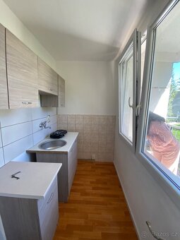 Pronájem - 3