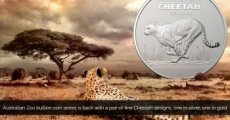 Stříbrná mince Cheetah - 1 Oz gepard - 3