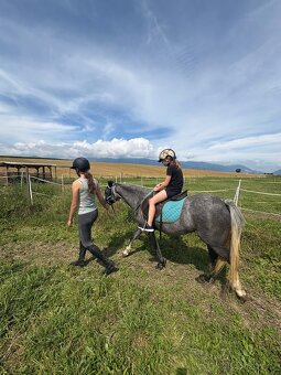 Pony kobylka aj pre najmenších - 3