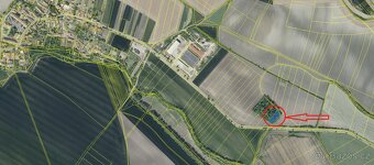 Prodám lesní pozemek v k.ú. Solany - 3