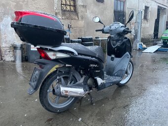 Dily Honda SH 125 i. - 3