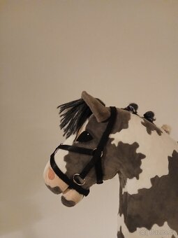 Hobby horse - 3