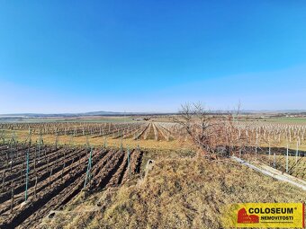 Milotice, vinný sklep, 50 m2, pozemek – vinný sklep - 3
