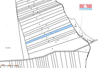 Prodej lesa, 3179 m², Bernartice - 3