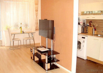 Pronájem novostavby 1+ 1 U Leskavy, Brno. 43 m2, 4.p. - 3