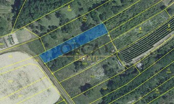 Prodej vinice v k. ú. Velké Němčice - 3