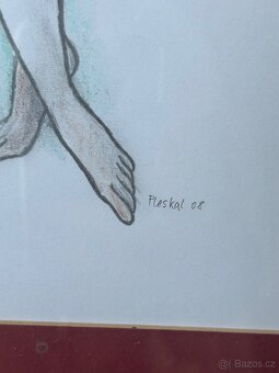 Soubor 20  obrazů autor Jaroslav Pleskal - 3