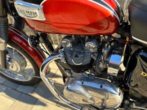 Triumph T100R Daytona - 3