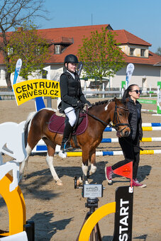 sportovní pony klisna - 3