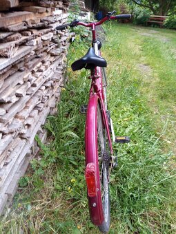 Max bike 19 - 3