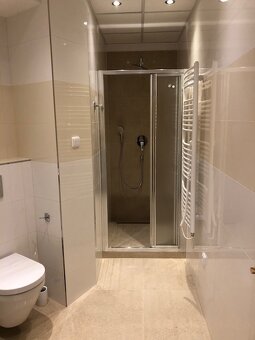 ÚTULNÝ BYT NA VINOHRADECH - 3