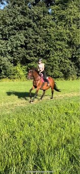 Tábory na koních - 3