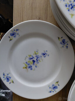 Retro krásné porcel.talíře-pomněnky-zamluveny - 3