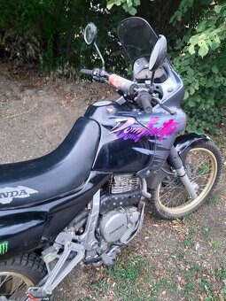 Honda Dominator 650 - 3