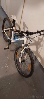 Author Sonic 24" - 3