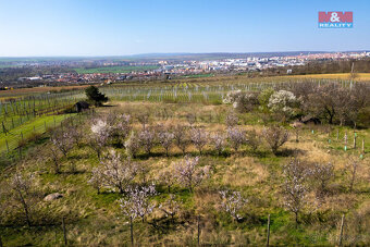 Prodej pozemku k bydlení, 2462 m², Znojmo - Dobšice - 3