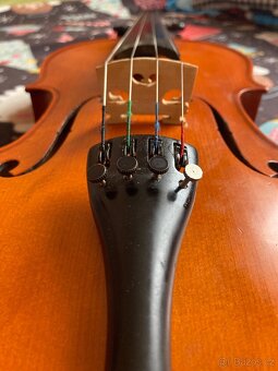 Viola 38,4 - 3