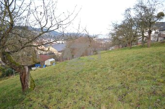 Prodej, pozemku,3000 m2, Česká Třebová - 3