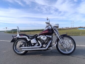 Harley Davidson Springer Evo 1998 - 3