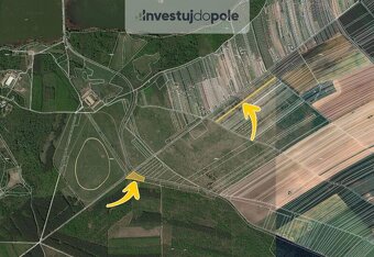 Prodej pole v k.ú. Charvátská Nová Ves - 3