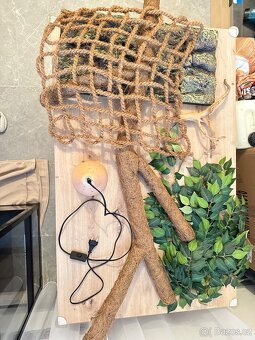 Terárium Repti Planet - 3