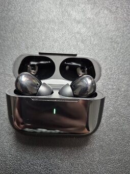 Bezdráová slucháka - 3