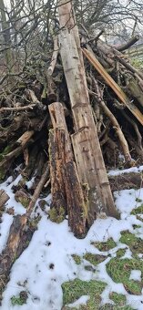 Palivové dřevo - 3