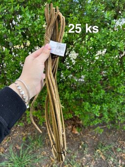 Květy sušene ( vše co na foto) - 3