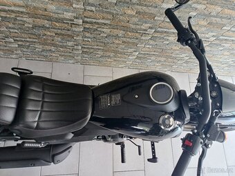 UM Renegade 300 Freedom - 3