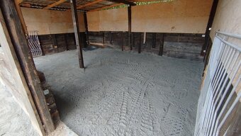 Nabídka ustájení 24/7 - 3