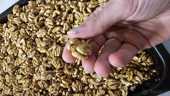 Prodám vlašské ořechy loupané - 3