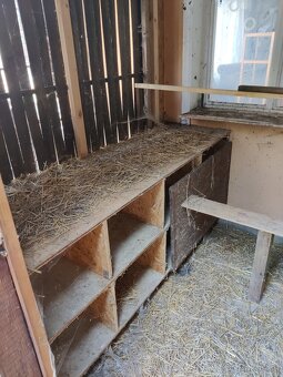 Velka voliera 23m2 - 3