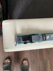 Obojek pro psa - 3