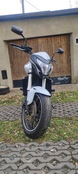 Honda Hornet CB600F - 3