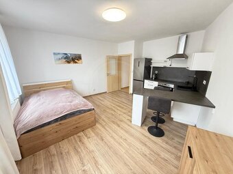 PRONÁJEM BYTU 1+KK, NÁMĚSTÍ ŠIMONA LOMNICKÉHO, ŠEVĚTÍN - 3