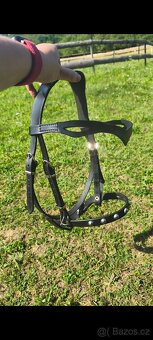 Karabina, pobočnice - 3