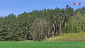 Prodej lesa, 7361 m², Litochovice a Neuslužice - 3