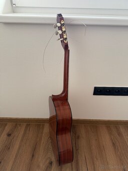 Kytara Amada - 3