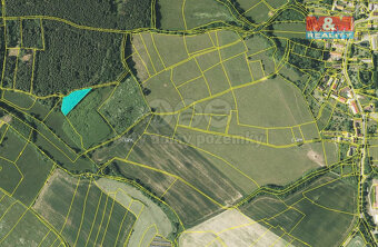 Prodej lesa, 1468 m², Miletice u Dlažova - 3