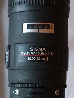 Sigma APO 500/4,5 EX HSM (Canon EF) - 3