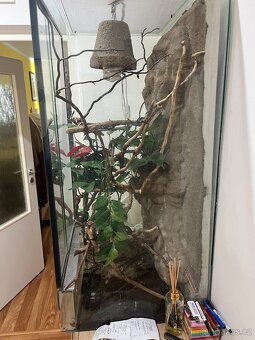 Terarium - 3