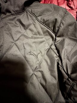 Puma bunda jarni - 3