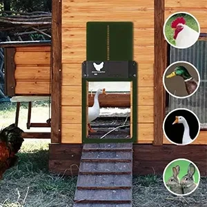 AUTOMATICKÁ DVIŘKA KURNÍKU - 3