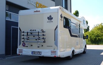 Ahorn Canada AE - 3