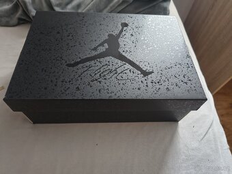 Air Jordan 4 "Black Cat" - 3