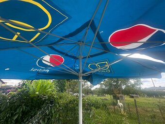 Slunečník hospodský - 3