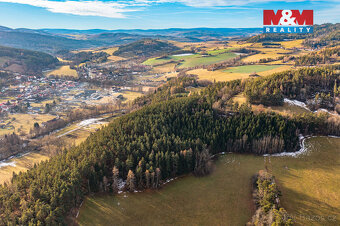 Prodej lesa, 13448 m², Malenice - 3