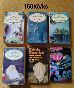 Knížky v angličtině - 3